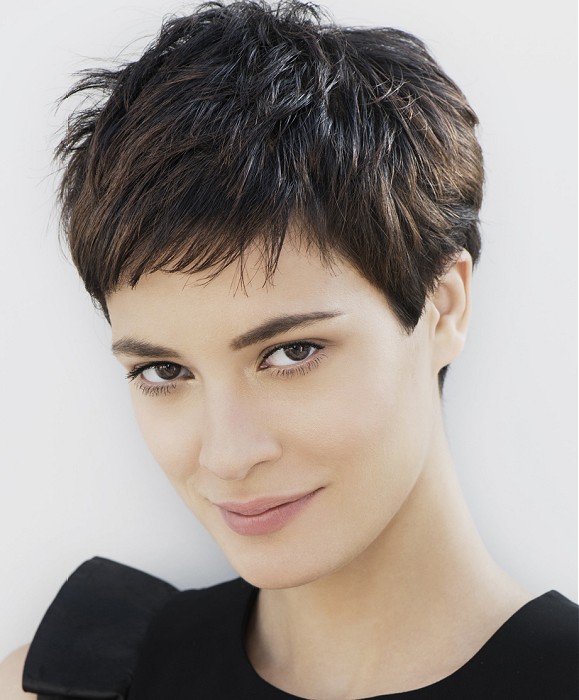 Franck Provost Short Brown Hairstyles